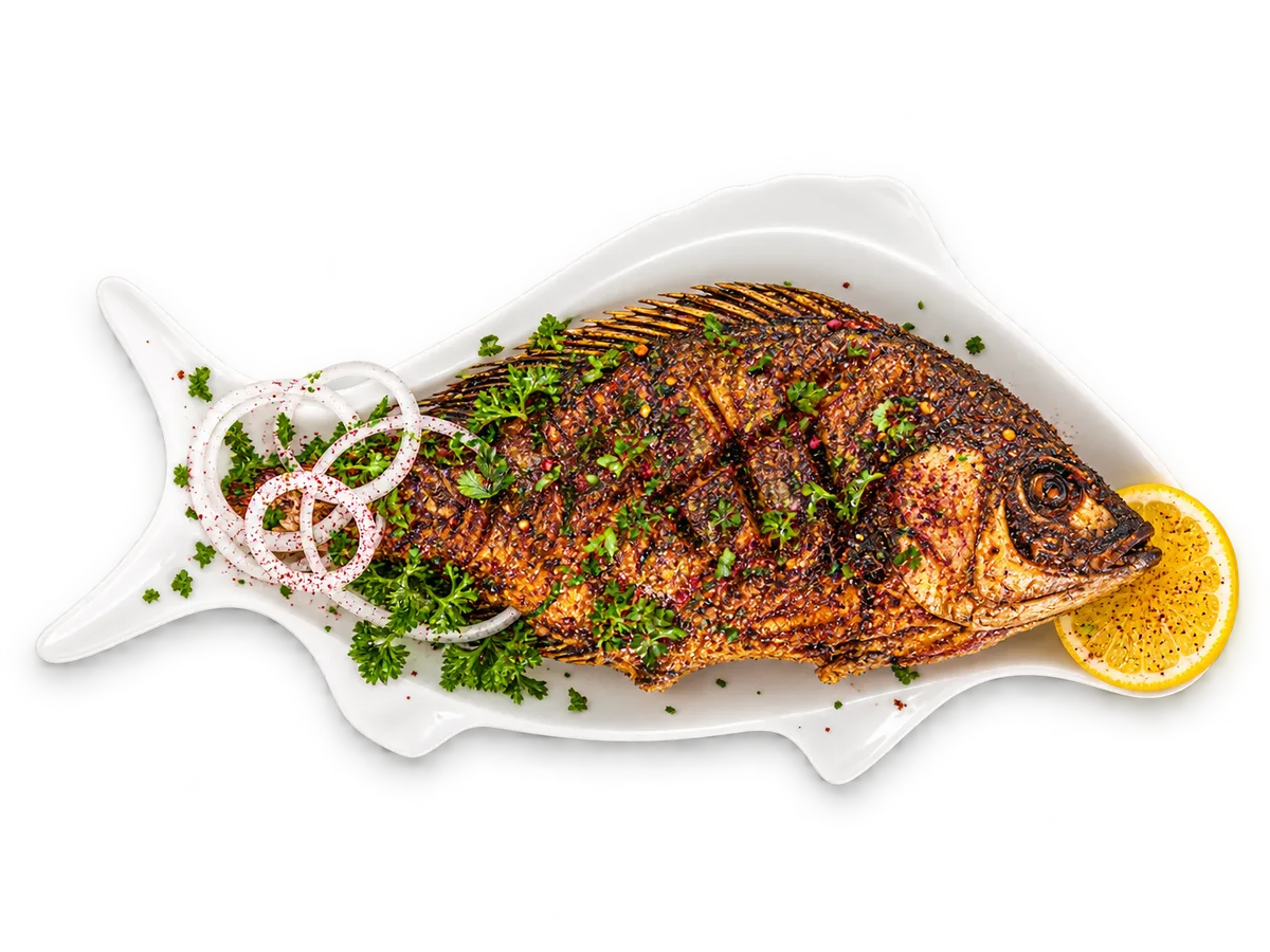 KK Fish